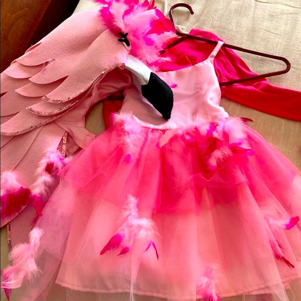 Pottery Barn Kids Flamingo Costume